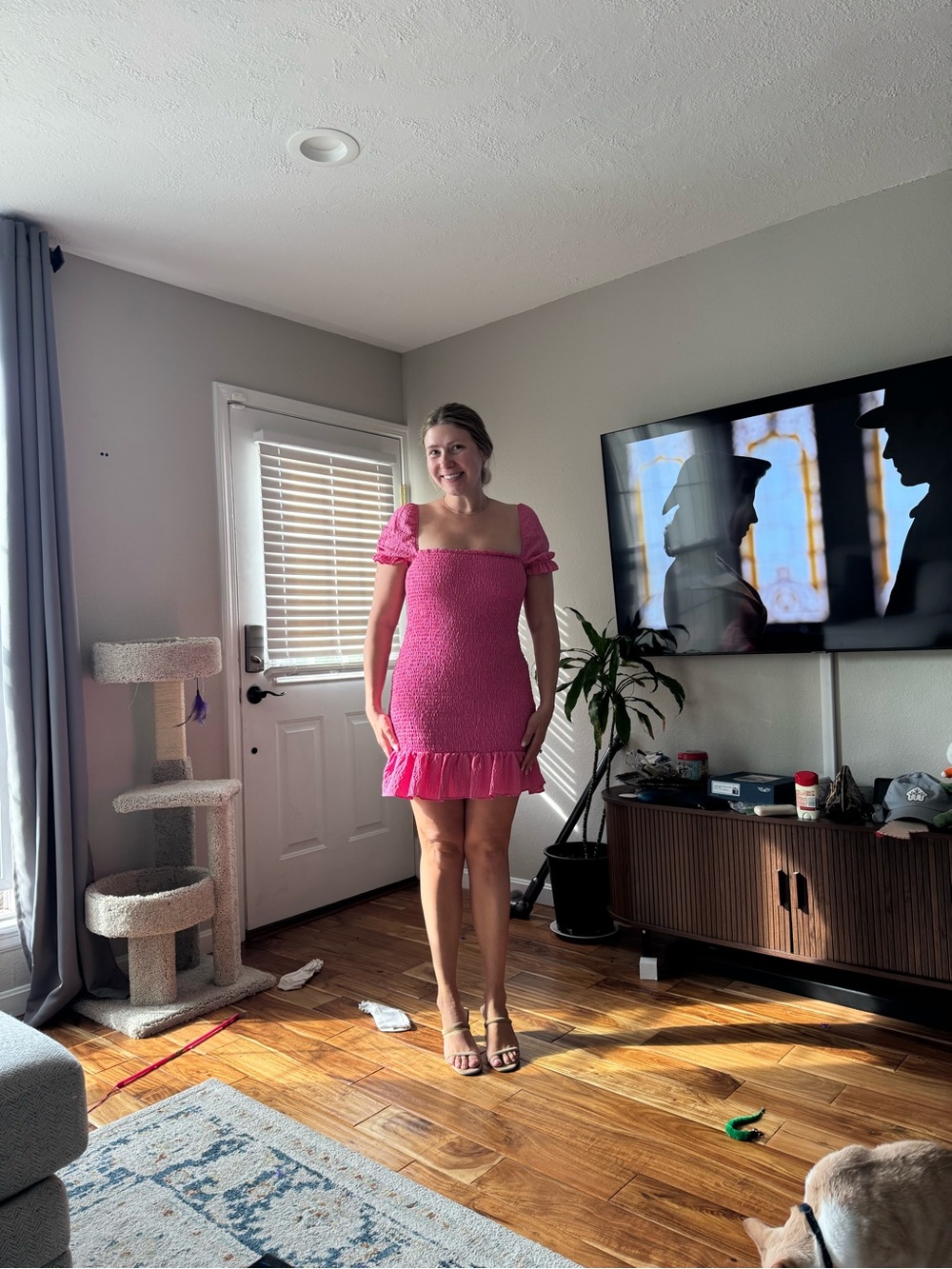 NEVER WORN Zara Pink Smocked Mini Dress with Puff Sleeves